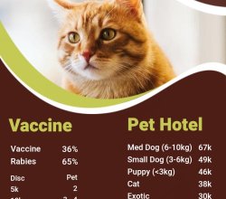 petshop surabaya