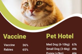 petshop surabaya