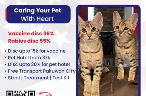 petshop surabaya timur