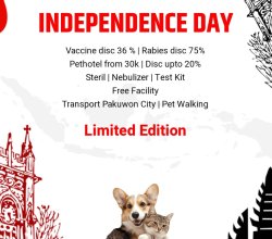 petshop mulyosari