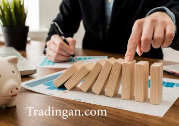 Mengapa Beberapa Bisnis Bertahan Lebih Lama dari yang Lain