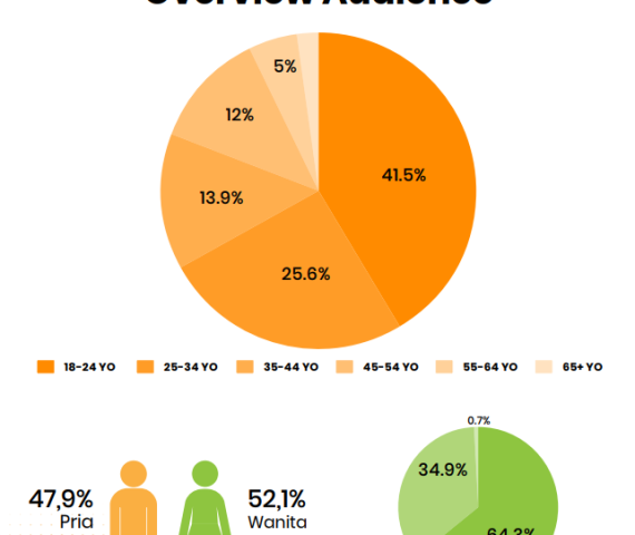 Bisnis Muda overview visitor