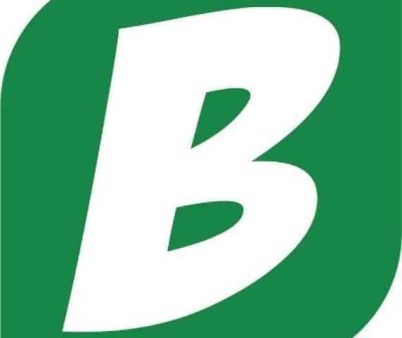 Bola Icon