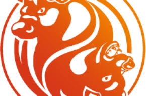 FxOpen Broker Forex dan Kripto