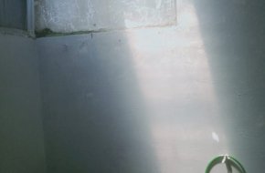 Disewakan Rumah Murah Dekat Bandara
