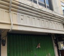 DIJUAL RUKO BASUKI RACHMAT