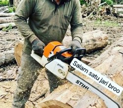 Jasa Tebang Pohon Cirebon 085189748826