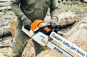 Jasa Tebang Pohon Cirebon 085189748826