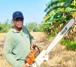 Google.com –  Jasa Tebang Pohon Cirebon 085189748826