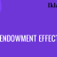 Endowment Effect dan Pengaruhnya terhadap Keputusan Pembelian