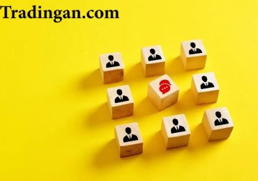 Apa Itu Share of Voice dalam Periklanan dan Mengapa Penting?