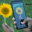 Visual Search Marketing: Mencari Produk dengan Gambar, Bukan Kata Kunci